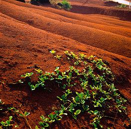 《忍龙》撞上《鬼泣》高速ACT《灵拳Spirit X Strike》Steam抢先体验 今日始动